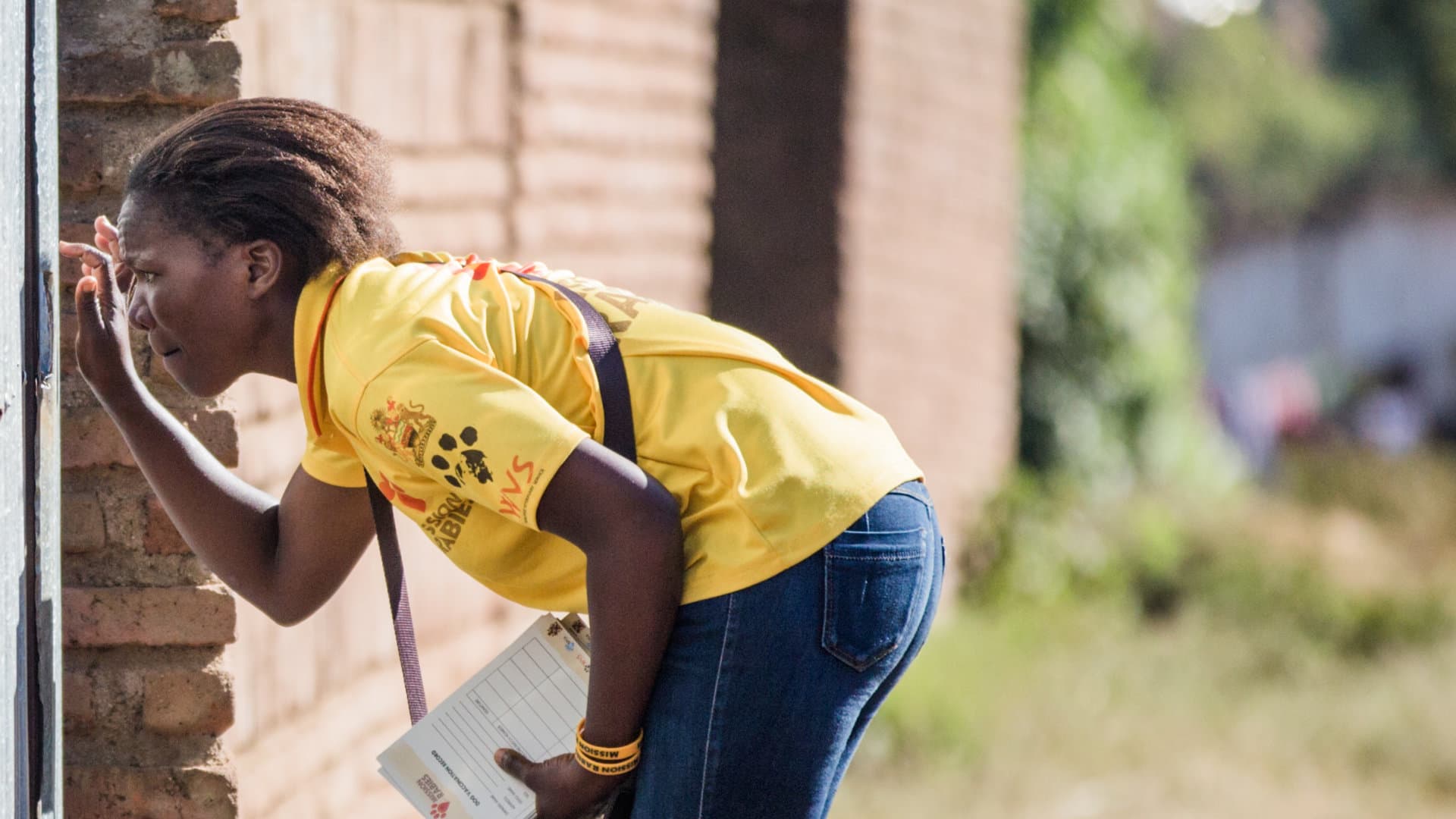 Over 50,000 bite cases investigated