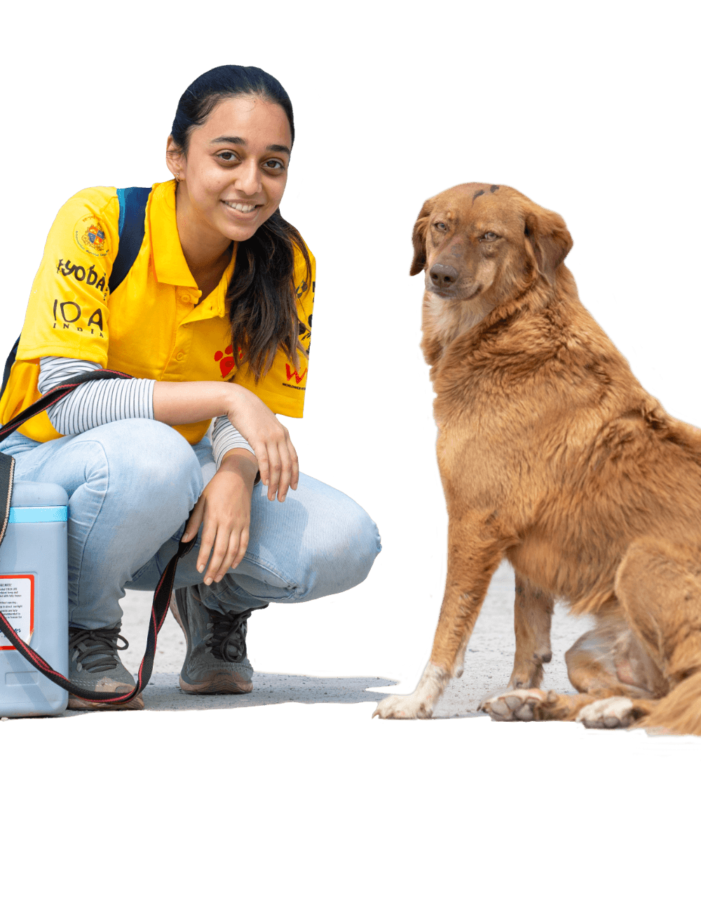 But rabies is 100% preventable.