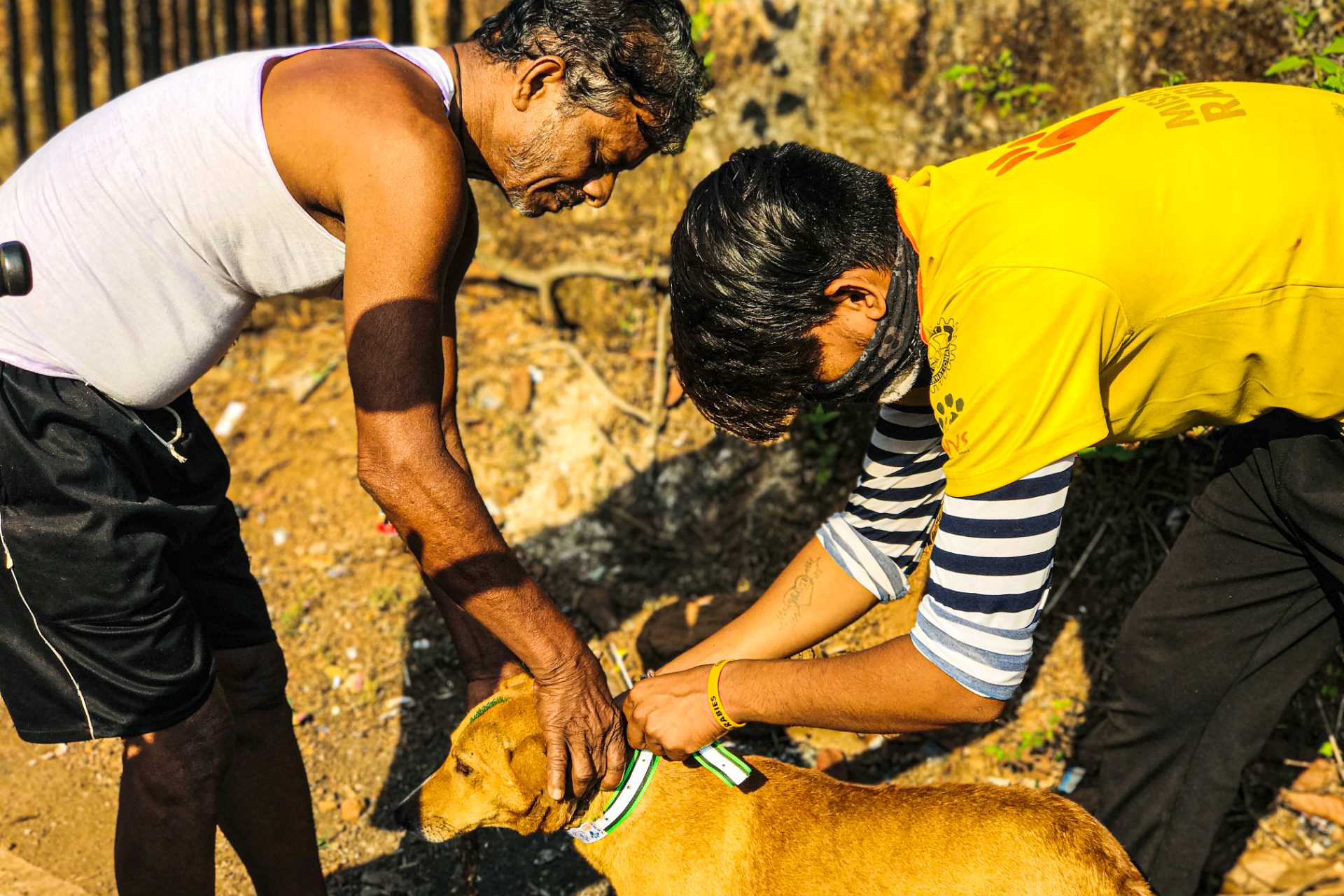 New research leads the way to a rabies free future.