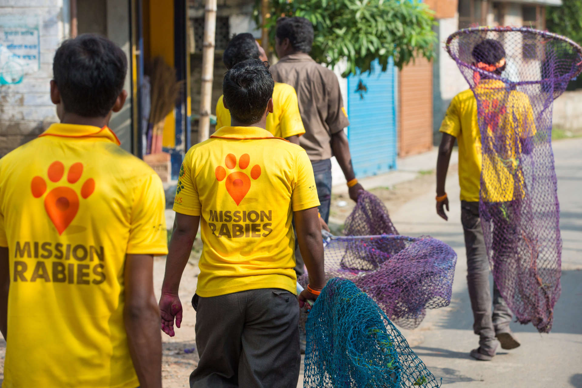 Mehrere Mission Rabies Hundefänger, die mit Schmetterlingsnetzen auf der Straße laufen